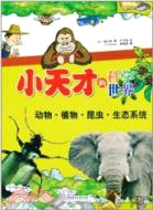 小天才的科學世界：動物‧植物‧昆蟲‧生態系統（簡體書）