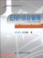 ERP項目管理：以電力企業爲例（簡體書）