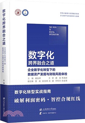 數字化跨界融合之道：企業數字化轉型下的數據資產發掘與財稅風險體檢（簡體書）