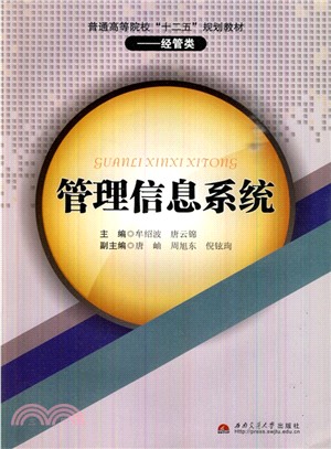 執行信息系統（簡體書）