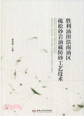 勝利油田濱南油區疏鬆砂岩油藏防砂工藝技術（簡體書）