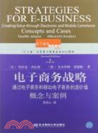 電子商務戰略：通過電子商務和移動電子商務創造價值(概念與案例)(第二版)（簡體書）