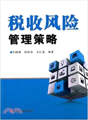 稅收風險管理策略（簡體書）