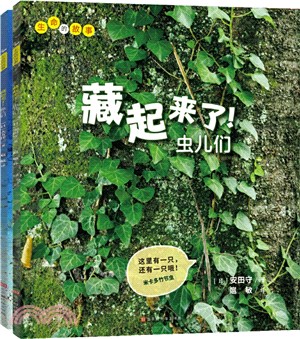 藏起來了(全2冊)（簡體書）