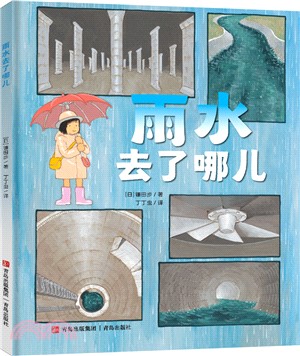 雨水去了哪兒（簡體書）