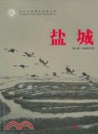 鹽城（簡體書）