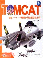 熊貓F-14艦載多用途重型戰鬥機(簡體書)