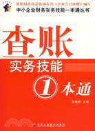 查賬實務技能一本通（簡體書）