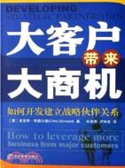 大客戶帶來大商機－如何開發建立戰略夥伴關係(簡體書)