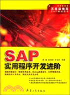 SAP實用程序開發進階（簡體書）