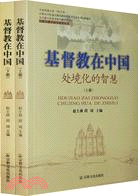 基督教在中國：處境化的智慧(上下冊)（簡體書）