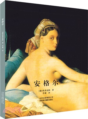 安格爾（簡體書）