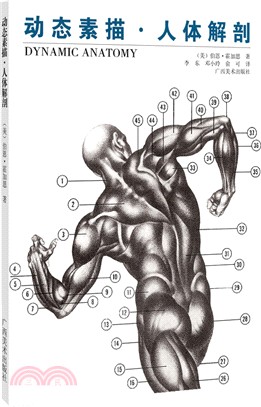 動態素描：人體解剖（簡體書）