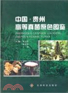 中國貴州高等真菌原色圖鑑（簡體書）