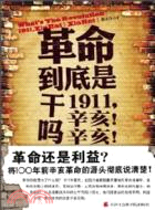 革命到底是幹嗎？1911，辛亥！辛亥！（簡體書）