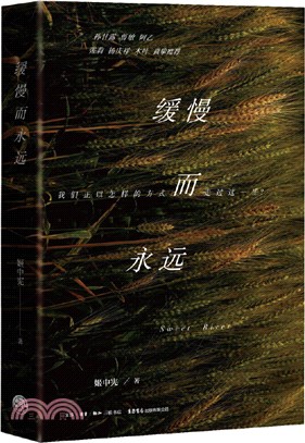 緩慢而永遠（簡體書）