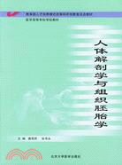 人體解剖學與組織胚胎學（簡體書）