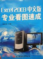 Excel 2003 中文版專業看圖速成（簡體書）