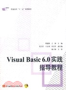 Visual Basic6.0實踐指導教程(含光盤1張)（簡體書）