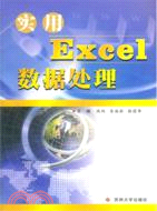 實用Excel數據處理（簡體書）