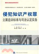 侵犯知識產權罪立案追訴標準與司法認定實務（簡體書）