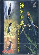 浯洲羽踪：金門國家公園鳥類生態