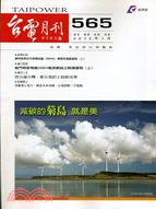 台電月刊99年1月565期