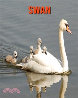 Swan: Amazing Facts about Swan