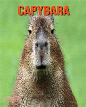 Capybara: Learn About Capybara and Enjoy Colorful Pictures