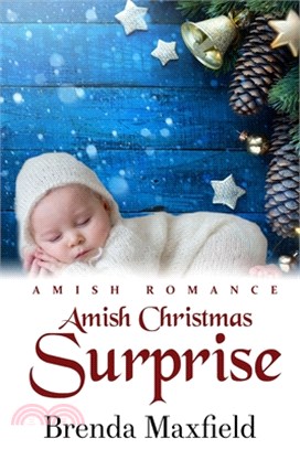 Amish Christmas Surprise