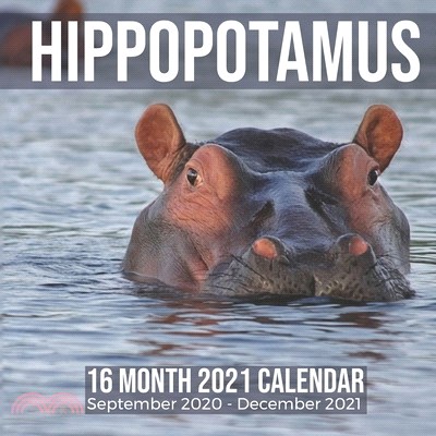 Hippopotamus 16 Month 2021 Calendar September 2020-December 2021: Hippo Square Photo Book Monthly Pages 8.5 x 8.5 Inch