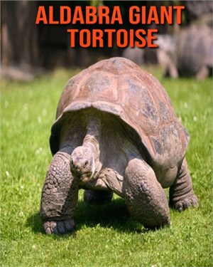 Aldabra Giant Tortoise: Learn About Aldabra Giant Tortoise and Enjoy Colorful Pictures