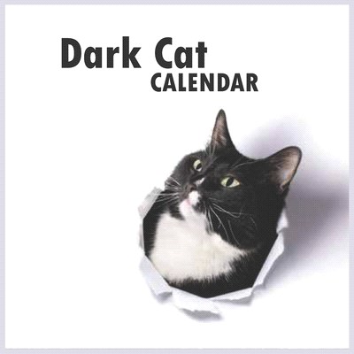 Dark cat calendar