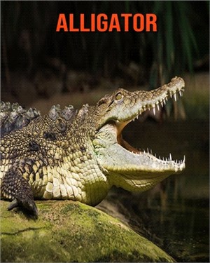 Alligator: Learn About Alligator and Enjoy Colorful Pictures