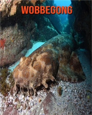 Wobbegong: Learn About Wobbegong and Enjoy Colorful Pictures