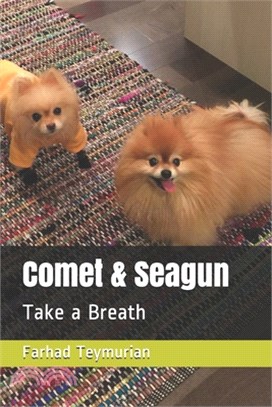 Comet & Seagun: Take a Breath