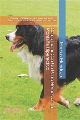 Cómo Lidiar Con Un Perro Bernes de la Montaña Hiperactivo: Qué Hacer Si Tu Bernes de la Montaña Se Orina, Destroza, Muerde, Ladra, Salta, Gruñe o Tira