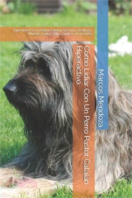 Cómo Lidiar Con Un Perro Pastor Catalán Hiperactivo: Qué Hacer Si Tu Pastor Catalán Se Orina, Destroza, Muerde, Ladra, Salta, Gruñe o Tira Correa