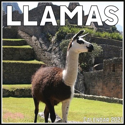 LLamas Calendar 2021: Official LLamas Calendar 2021, 12 Months