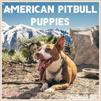 American Pitbull Puppies Calendar 2021: Official American Pitbull Puppies Calendar 2021, 12 Months