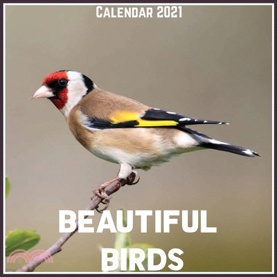 Beautiful Birds Calendar 2021: Official Beautiful Birds Calendar 2021, 12 Months