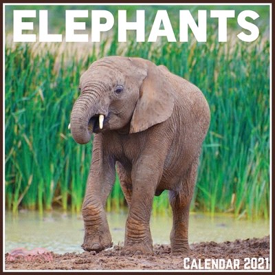 Elephants Calendar 2021: Official Elephants Calendar 2021, 12 Months