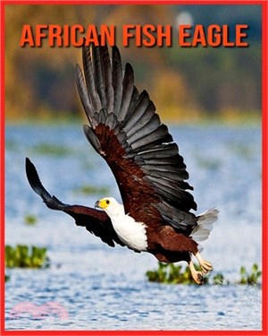 African Fish Eagle: Fascinating African Fish Eagle Facts for Kids with Stunning Pictures!