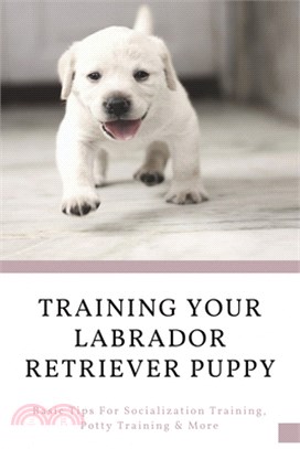 Training Your Labrador Retriever Puppy: Basic Tips For Socialization Training, Potty Training & More: Labrador Retriever Month By Month