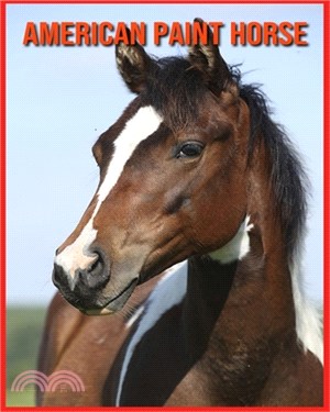 American Paint Horse: Amazing Pictures and Facts About American Paint Horse