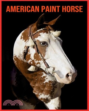 American Paint Horse: Beautiful Pictures & Interesting Facts Children Book About American Paint Horse