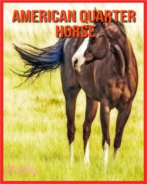 American Quarter Horse: Amazing Facts about American Quarter Horse