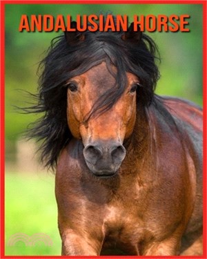 Andalusian Horse: Amazing Facts about Andalusian Horse