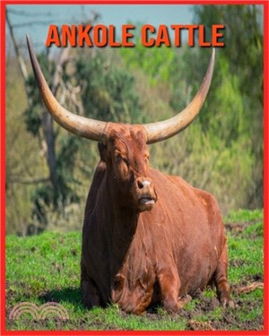 Ankole Cattle: Beautiful Pictures & Interesting Facts Children Book About Ankole Cattle