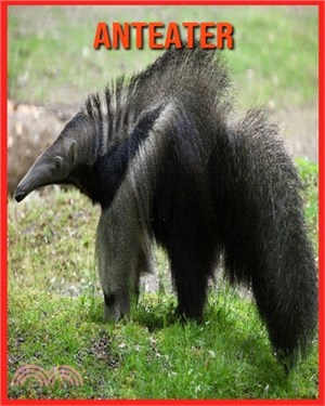 Anteater: Beautiful Pictures & Interesting Facts Children Book About Anteater